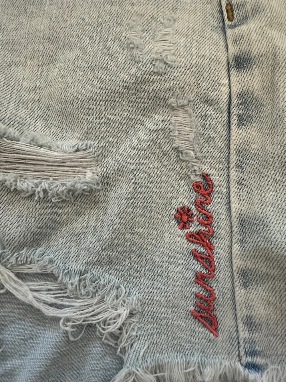 Aerie Distressed Denim Short w/ Embroidery